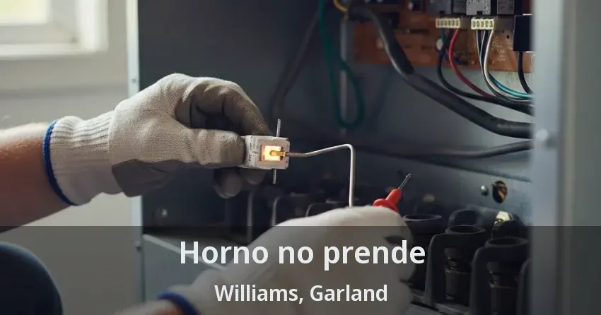 Horno no prende Williams, Garland - TX
