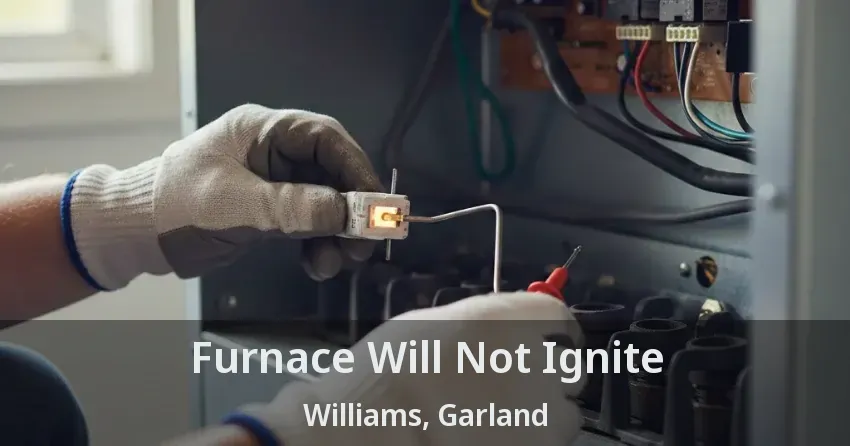 Furnace Will Not Ignite Williams, Garland - TX