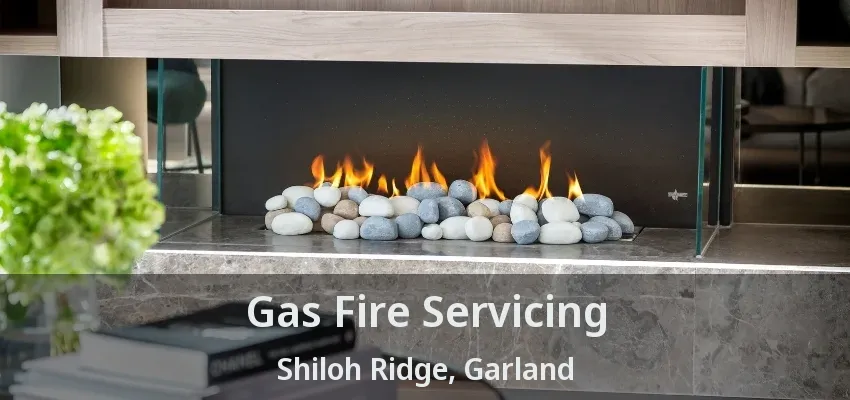Gas Fire Servicing Shiloh Ridge, Garland - TX