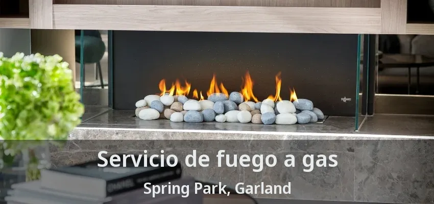 Servicio de fuego a gas Spring Park, Garland - TX