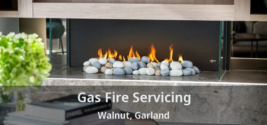 Gas Fire Servicing Walnut, Garland - TX
