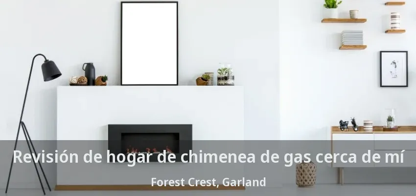 Revisión de hogar de chimenea de gas cerca de mí Forest Crest, Garland - TX
