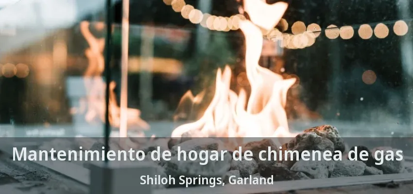 Mantenimiento de hogar de chimenea de gas Shiloh Springs, Garland - TX