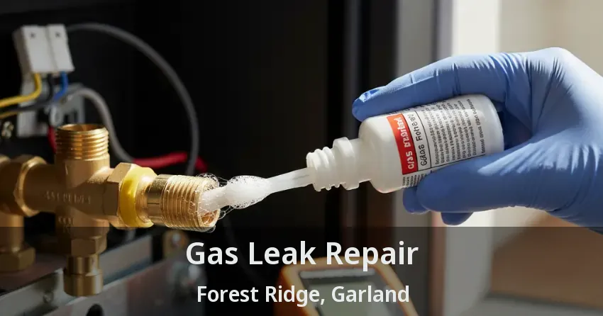 Gas Leak Repair Forest Ridge, Garland - TX