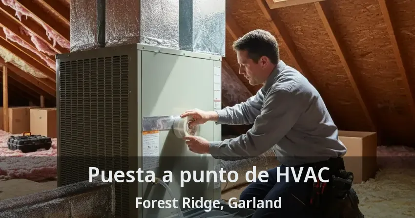 Puesta a punto de HVAC Forest Ridge, Garland - TX