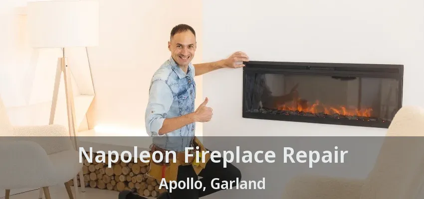 Napoleon Fireplace Repair Apollo, Garland - TX