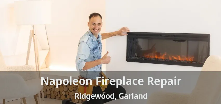 Napoleon Fireplace Repair Ridgewood, Garland - TX