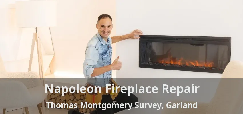 Napoleon Fireplace Repair Thomas Montgomery Survey, Garland - TX