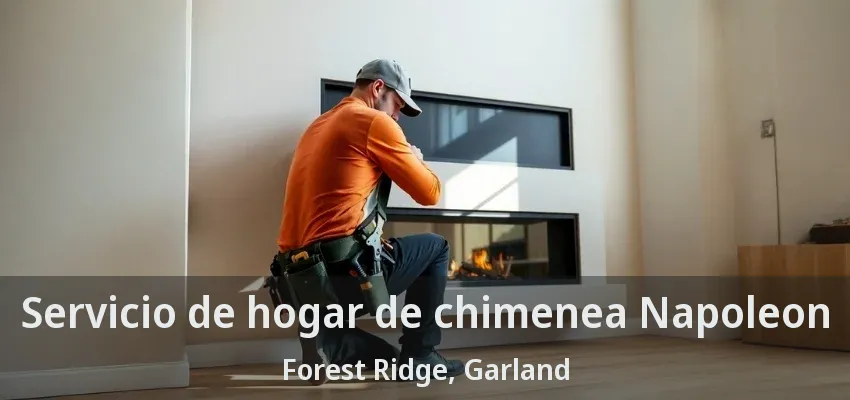 Servicio de hogar de chimenea Napoleon Forest Ridge, Garland - TX