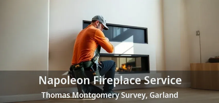Napoleon Fireplace Service Thomas Montgomery Survey, Garland - TX