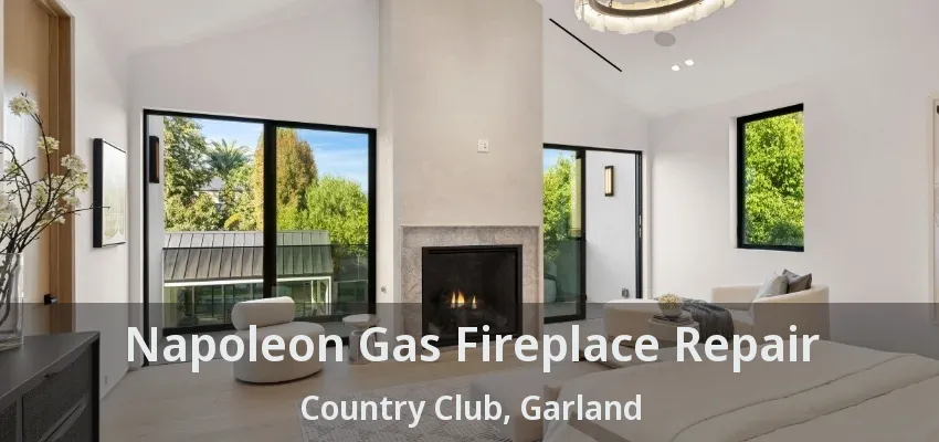 Napoleon Gas Fireplace Repair Country Club, Garland - TX