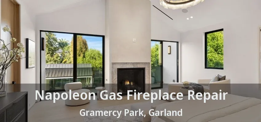 Napoleon Gas Fireplace Repair Gramercy Park, Garland - TX