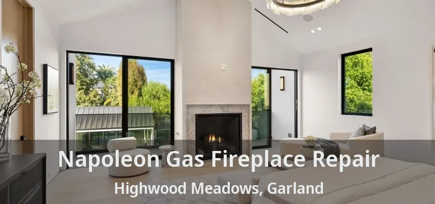 Napoleon Gas Fireplace Repair Highwood Meadows, Garland - TX