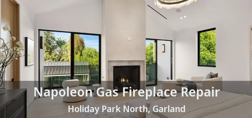 Napoleon Gas Fireplace Repair Holiday Park North, Garland - TX