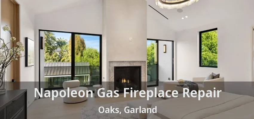 Napoleon Gas Fireplace Repair Oaks, Garland - TX