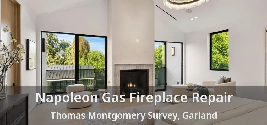 Napoleon Gas Fireplace Repair Thomas Montgomery Survey, Garland - TX
