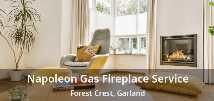 Napoleon Gas Fireplace Service Forest Crest, Garland - TX