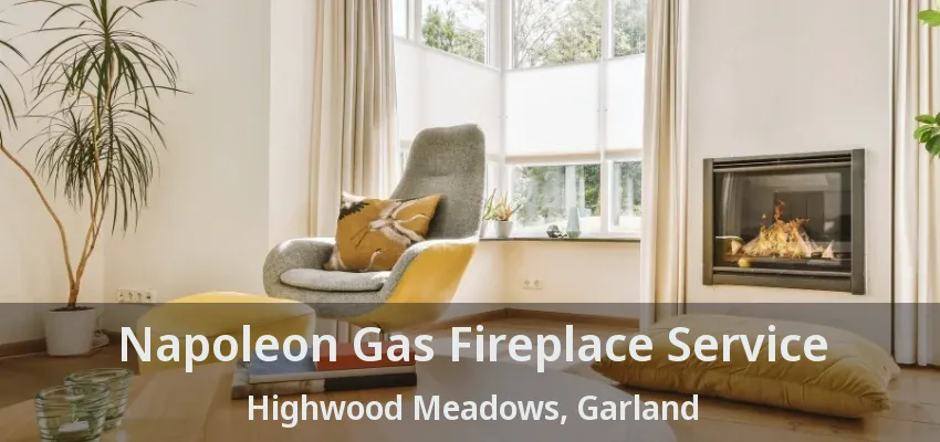 Napoleon Gas Fireplace Service Highwood Meadows, Garland - TX