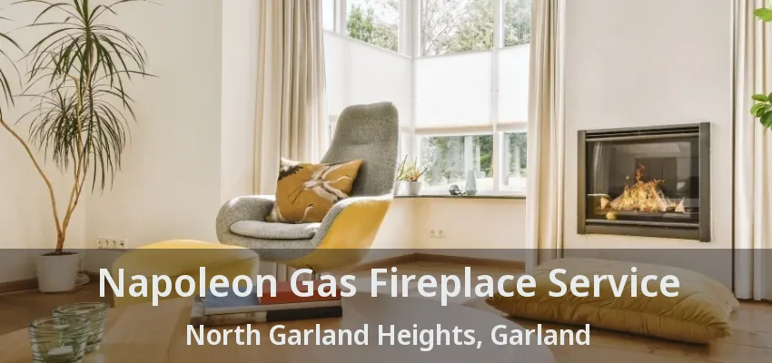 Napoleon Gas Fireplace Service North Garland Heights, Garland - TX