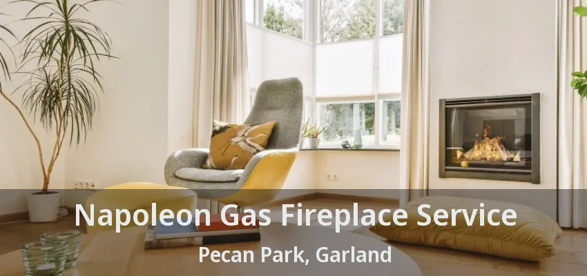Napoleon Gas Fireplace Service Pecan Park, Garland - TX