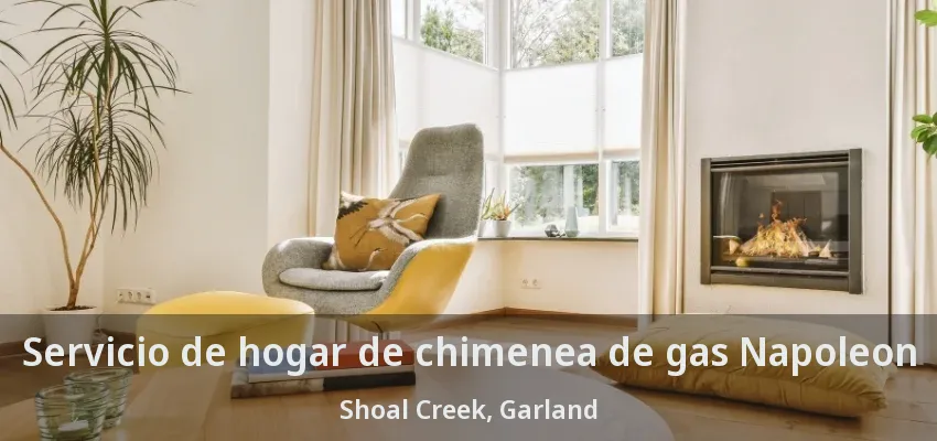 Servicio de hogar de chimenea de gas Napoleon Shoal Creek, Garland - TX