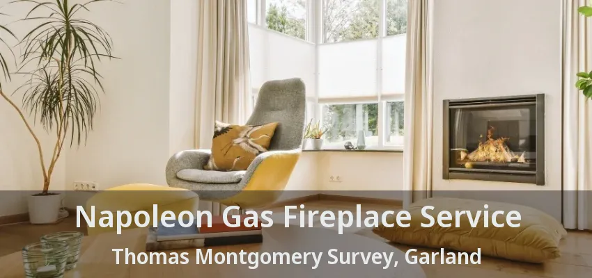 Napoleon Gas Fireplace Service Thomas Montgomery Survey, Garland - TX