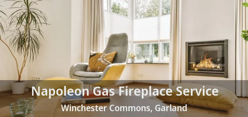 Napoleon Gas Fireplace Service Winchester Commons, Garland - TX
