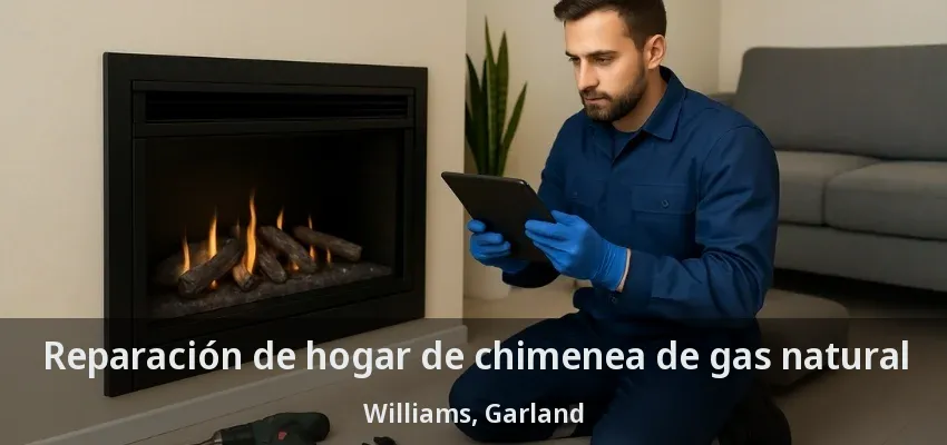 Reparación de hogar de chimenea de gas natural Williams, Garland - TX Reparación de hogar de chimenea de gas natural Williams, Garland - TX