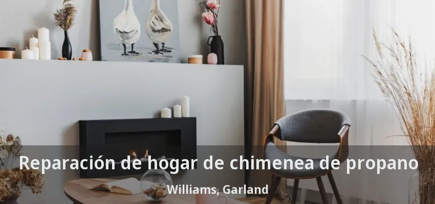 Reparación de hogar de chimenea de propano Williams, Garland - TX