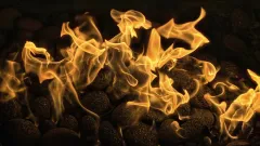 Fireplace Cleaning Service Bella Vista, Garland