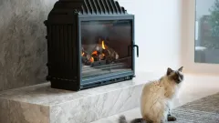 Wood Burning Fireplace Repair Bella Vista, Garland