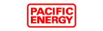 Pacific Energy Napoleon Fireplace Repair in Garland