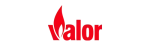 Valor Napoleon Fireplace Repair in Garland